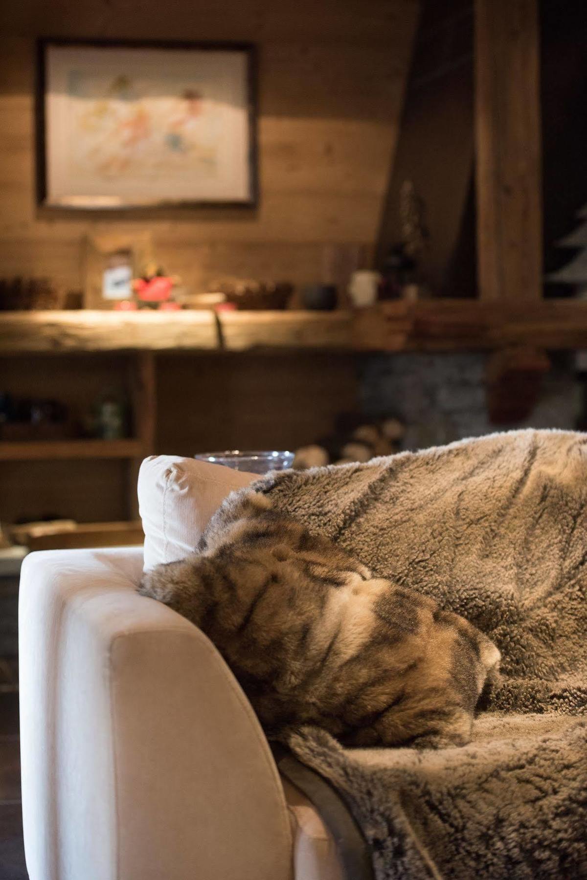 Cgh Residences & Spas Le Ruitor Sainte-Foy-Tarentaise Bagian luar foto